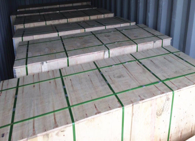 10x10 11x11 SS 304 αντι περικοπή 0.8mm πλέγματος κουνουπιών δίκτυο για τα παράθυρα 2